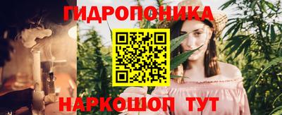 спиды Канаш