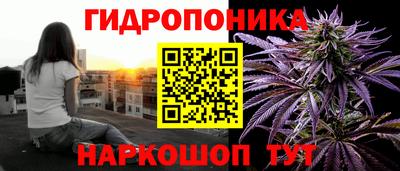спиды Канаш