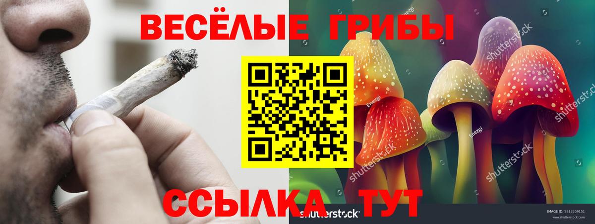 Кызыл  Галлюциногенные грибы мицелий  Вход с VPN 